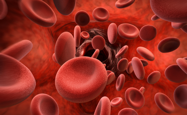 Journal Homepage Image