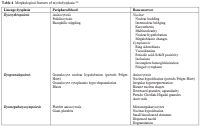 Table 4