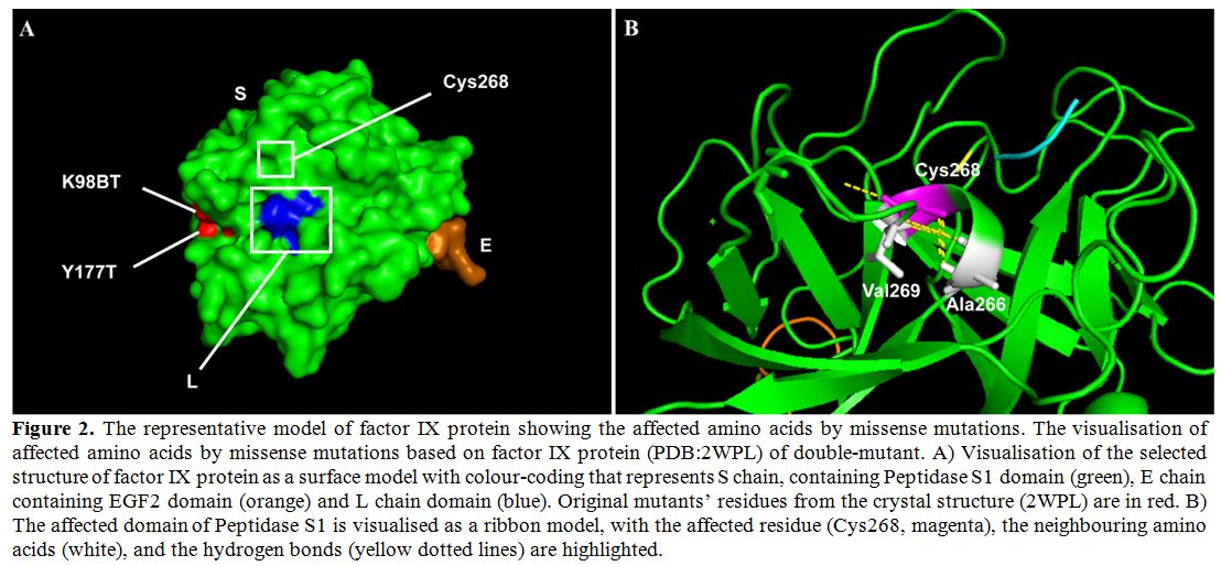 Figure 2