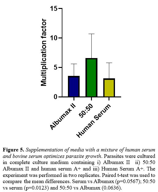 Figure 5
